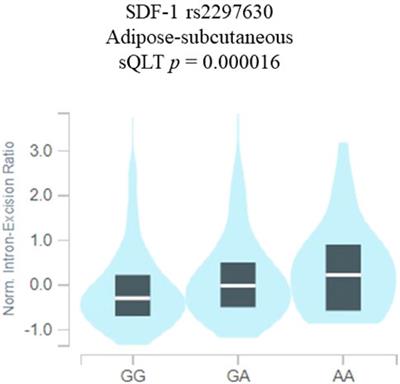 Association of SDF-1 and its receptor CXCR4 polymorphisms on the susceptibility of diabetic retinopathy in the Taiwanese population